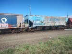RUMO HPT-030176-1